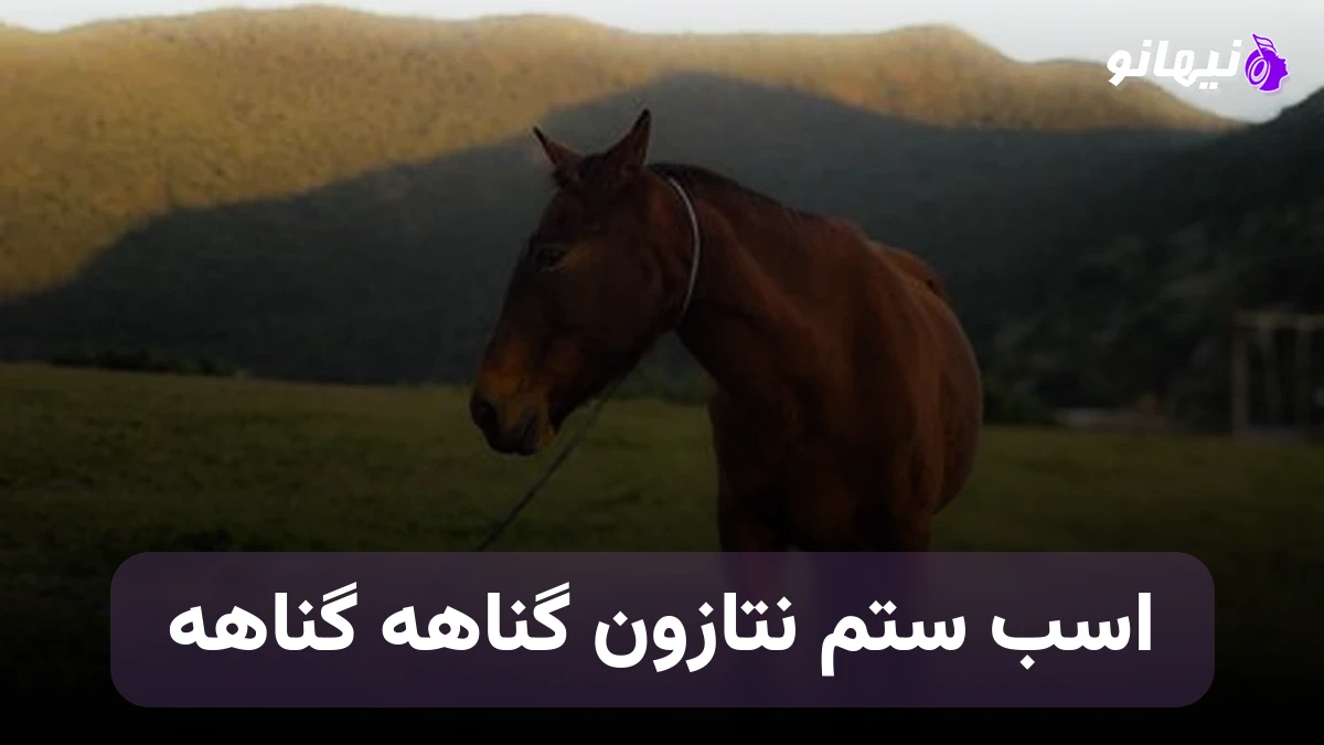 دانلود آهنگ اسب ستم نتازون گناهه گناهه صدای زن هوش مصنوعی